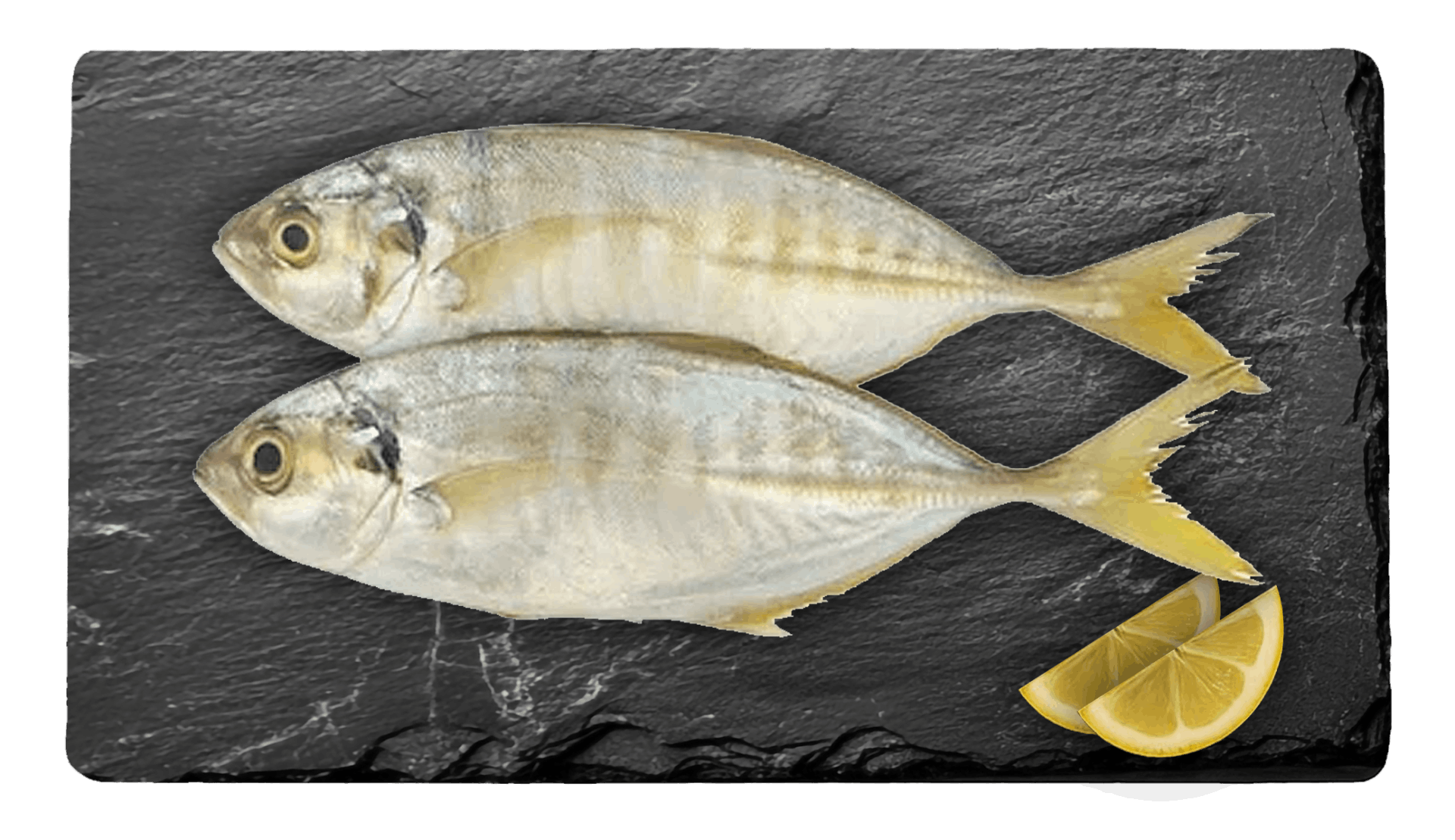 Yellow Stripe Scad